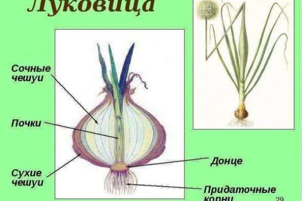 Kraken официальная ссылка tor