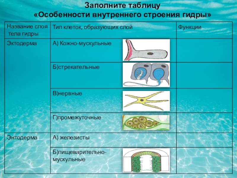 Не заходит на кракен